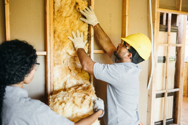 Best Blown-in Insulation  in Perris, CA