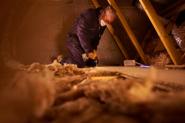 Best Attic Insulation Installation  in Perris, CA